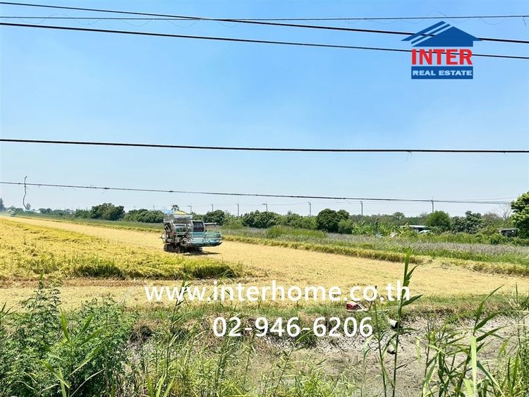 ที่ดินเปล่า 13 ไร่ 193.6 ตร.ว. ที่ดิน ใกล้โรงเรียนวัดไทรน้อย ถนนไทรน้อย-ต้นเชือก ถนนบางกรวยไทรน้อย ไทรน้อย นนทบุรี รูปที่ 2