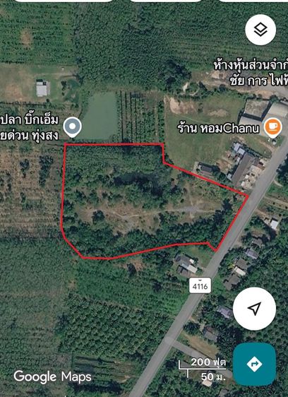 ขายที่ดิน 14-1-46.2 ไร่ ต.เขาโร อ.ทุ่งสง