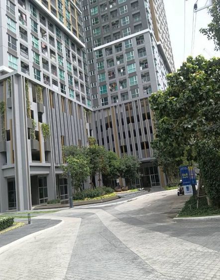 ตกแต่งครบ LPN Development ไม่อนุญาต ใช่ ปล่อยเช่าคอนโด ลุมพินีเพลส พระราม3-ริเวอร์ไรน์ (เจ้าของปล่อยเอง) รูปที่ 2