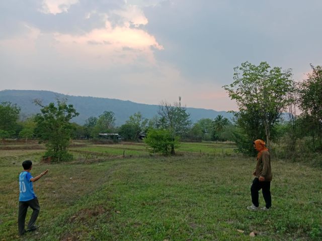 ใช่ ขายที่ดิน6ไร่กว่าๆ โฉนด อ.ภูกระดึง จ.เลย  ห่างถนนดำ300เมตรเส้นกรุงเทพ-เมืองเลย ขอนแก่น บ.ห้วยไผ่ ต.ห้วยส้ม เป็นที่นาพร้อมสวนต้นลำไยได้ผลผลิต​แล้ว มีไฟฟ้า น้ำปะปา