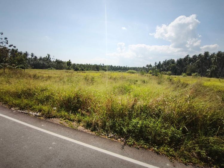 ขายที่ดินเปล่า บางเบิด อ.บางสะพาน จ.ประจวบคีรีจขันธ์