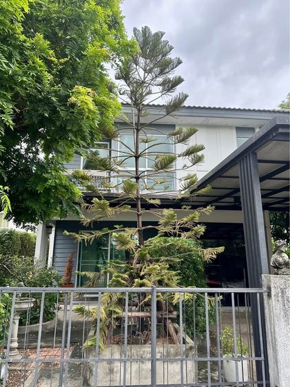 มีบางส่วน 🔥 ขาย บ้านเดี่ยวสไตล์โมเดิร์น  Inizio Rangsit Klong 3 อินิซิโอ รังสิต คลอง 3 🌳 สภาพดี เพื่อนบ้านน่ารัก ใกล้แหล่งชุมชน เดินทางสะดวก 