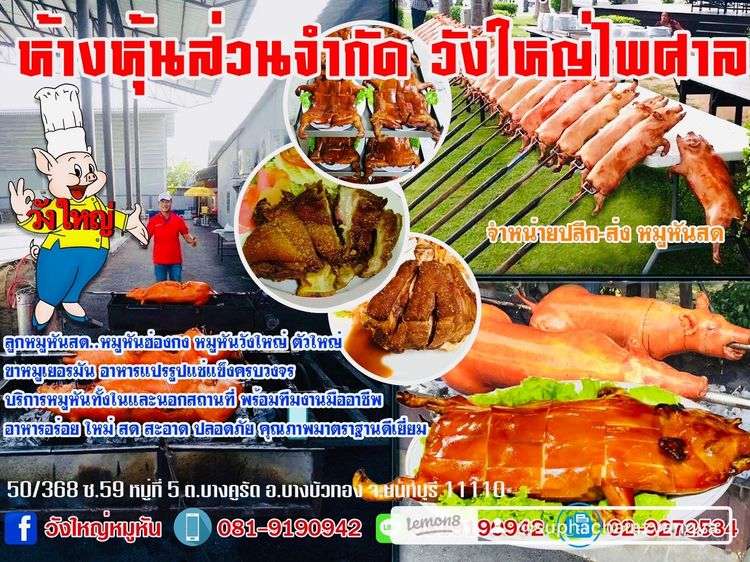 ขายส่งหมูหันแบบสดใหม่ขาวใสสะอาดปลอดภัยคุณภาพมาตราฐานคัดขนาดพิเศษเกรดA รูปที่ 17