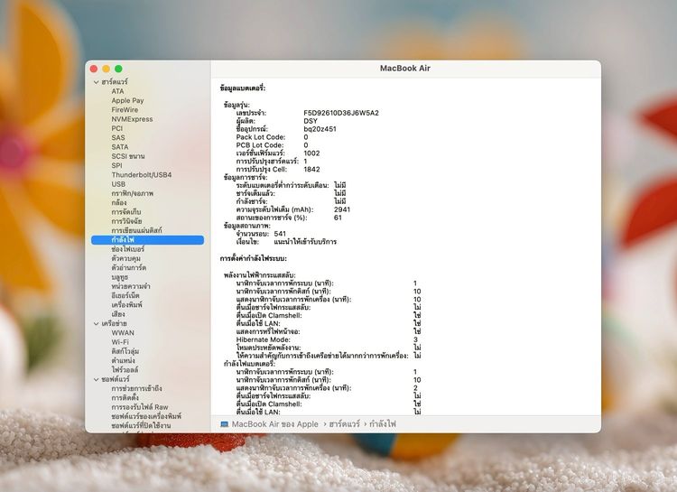 MacBook Air 13-inch 2019 Ram8GB SSD256GB Gold รูปที่ 13