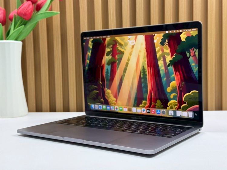 MacBook Pro (13.3-inch,2020 Two Thunderbolt 3 ports) Ram8GB SSD256GB SpaceGray  รูปที่ 2