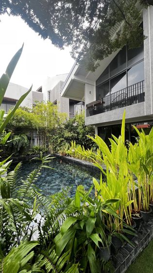 ตกแต่งครบ ขายด่วน บ้านเดี่ยวไซส์ใหญ่ 86 ตร.ว  พื้นที่ใช้สอย 250 ตร.ม พร้อมสระว่ายน้ำส่วนตัว ทำเลทอง ซอยปรีดี พนมยงศ์ 15 แยก 2