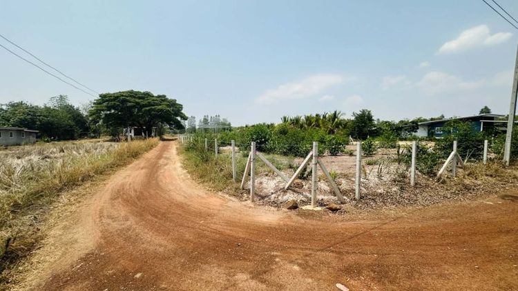 ที่ดิน