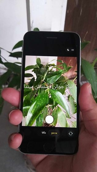 iphon se2 128 gb รูปที่ 8