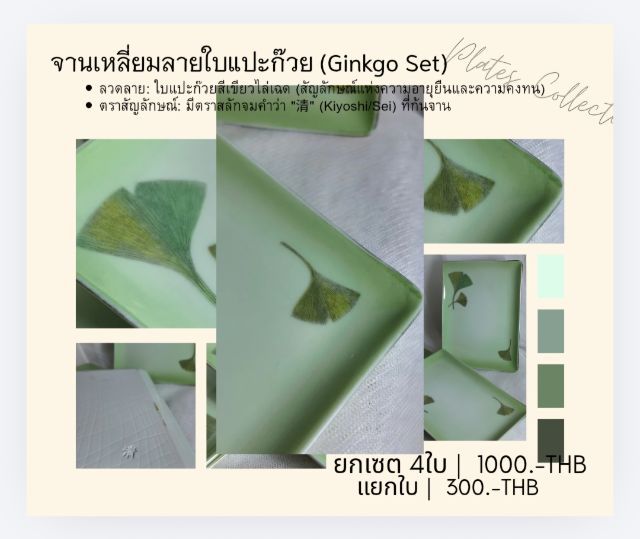 จานญี่ปุ่น รูปที่ 5