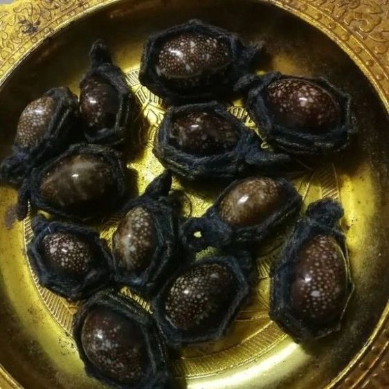เบี้ยแก้ ผ่านพิธีแล้ว ป้องกันภูตผีปีศาจ สิ่งไม่ดีมลายหายไป เสริมดวงการเงิน ค้าขาย โชคลาภ