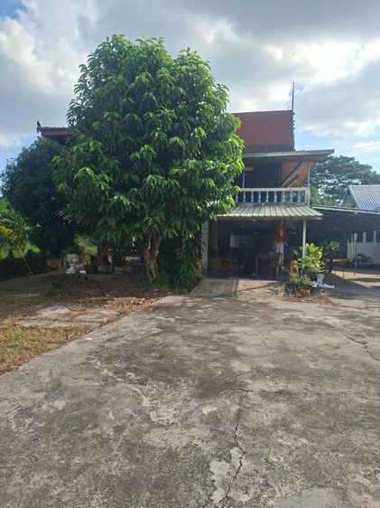 ขายบ้านสวนพร้อมที่ดิน นครนายก ใกล้เขื่อนขุนด่าน พร้อมบ้านและสระน้ำ รูปที่ 2