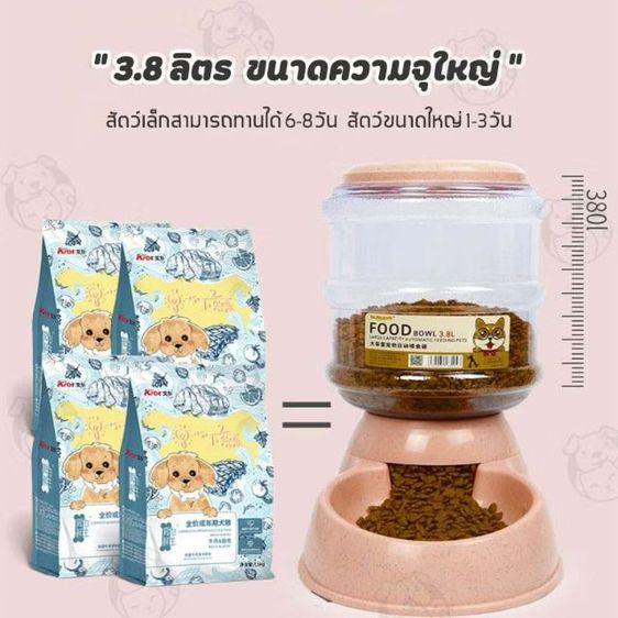 เครื่องให้อาหาร และน้ำ อัตโนมัติ สำหรับสัตว์เลี้ยงตัวโปรด รูปที่ 6