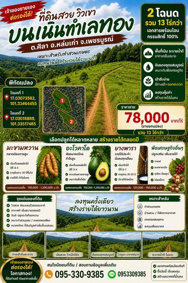 🌿 ขายที่ดินวิวเขา ทำเลสวย อ.หล่มเก่า จ.เพชรบูรณ์ 🌿