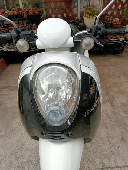 สกุ๊ปปี้หัวฉีดเดิมมือแรกสวยๆ รูปที่ 4