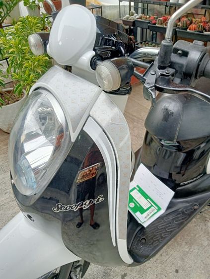 สกุ๊ปปี้หัวฉีดเดิมมือแรกสวยๆ รูปที่ 8