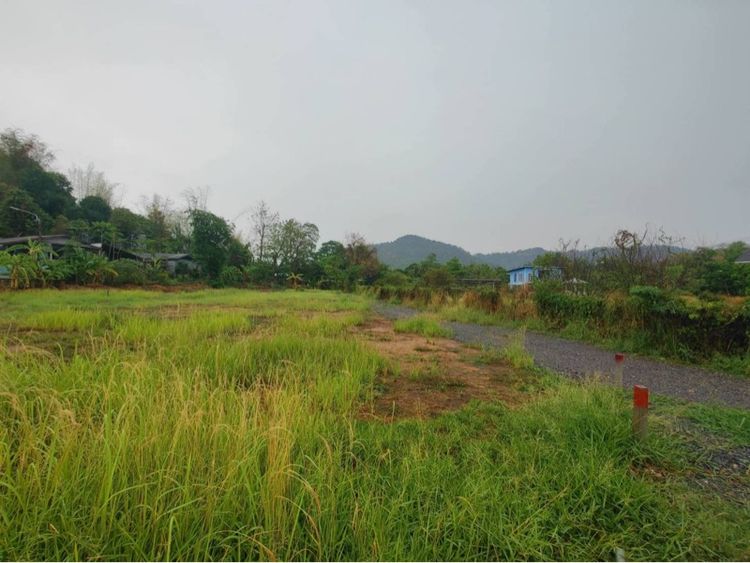 ที่ดินวิวเขา ติดถนน จ.นครนายก