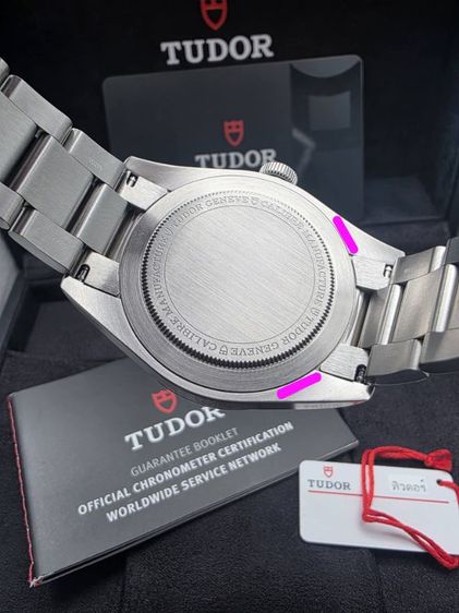 Tudor ranger รูปที่ 5
