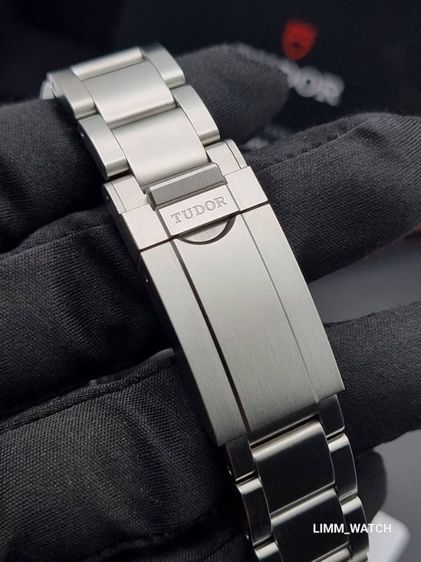 Tudor ranger รูปที่ 3