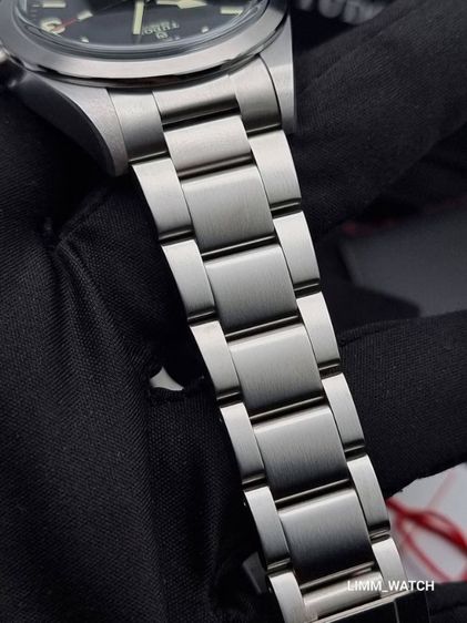 Tudor ranger รูปที่ 6