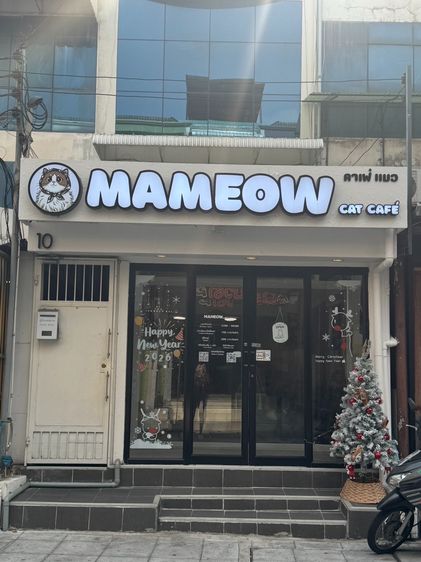 ร้านเครื่องดื่ม ชา กาแฟ แอลกอฮอล์ Mameow Cat Café ขายกิจการ 