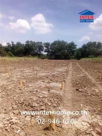 ที่ดินเปล่า 1 ไร่ 187 ตร.ว. ที่ดิน ใกล้องค์การพิพิธภัณฑ์วิทยาศาสตร์ (อพวช.), ถนนคลองหลวง3214 ถนนคลองห้า คลองหลวง ปทุมธานี รูปที่ 2