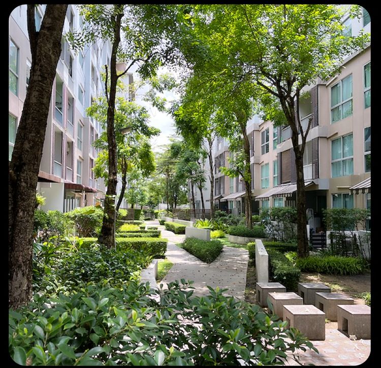 Condo Sukhumvit ห้องใหม่ สไตล์รีสอร์ท  