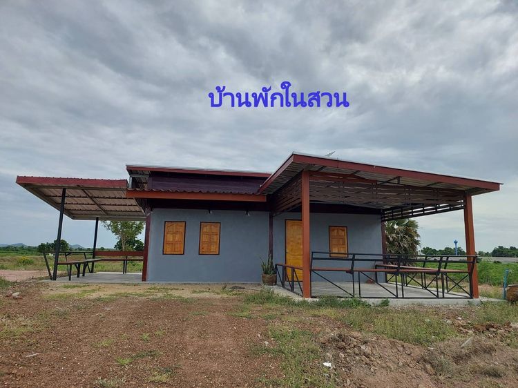 ขายที่ดินวิวภูเขาพร้อมสวนเกษตรผสม สวนอินทผาลัม สวนมะพร้าว สวนไม้จามจุรีไผ่ตงลืมแล้งฯลฯ อ.พนมทวน จ.กาญจนบุรี  พื้นที่ 34-2-18 ไร่ รูปที่ 3