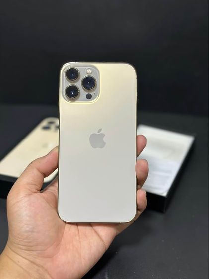 256 GB iPhone 13 Promax 256GB 