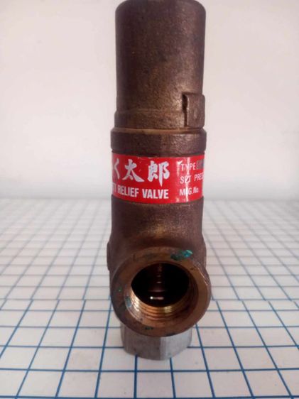 Safety Relief Valve รูปที่ 4