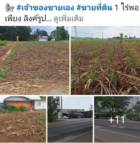 ที่ดิน 1 ไร่พอเพียงเจ้าของขายเองทำเลชุมชนติดถนนลาดยางติดกับร้านถูกดีมีมาตรฐานชุมชนดีเงียบสงบลมพัดเย็น