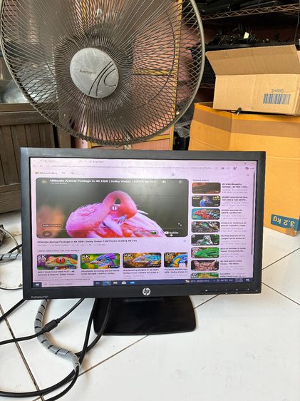  หน้าจอคอมพิวเตอร์ HP P221  LED Backlit ขนาด 21.5 นิ้ว FHD รูปที่ 2