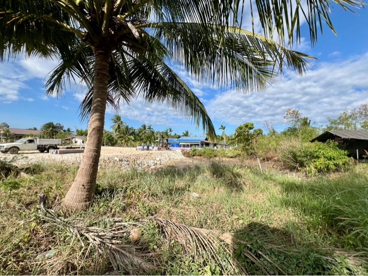 ที่ดินว่างเปล่า 261.2 ตร.ว. อ.แหลมสิงห์ จ.จันทบุรี