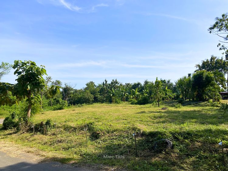ปรับลดราคาลงมาให้แล้วขายที่ดินทำบ้านสวน 1 ไร่ 3 งาน ต.ท่าพล เมืองเพชรบูรณ์ (น้ำไม่ท่วม+เจ้าของขายเอง) รูปที่ 3