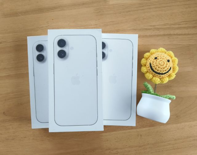 256 GB iPhone 17 (256GB)