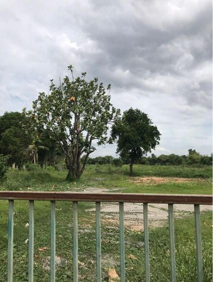 ไม่ใช่ ที่ดินเมือสระบุรี