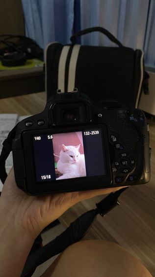 กล้อง canon eos700d กับเลนส์ canon efs 18 55  รูปที่ 15