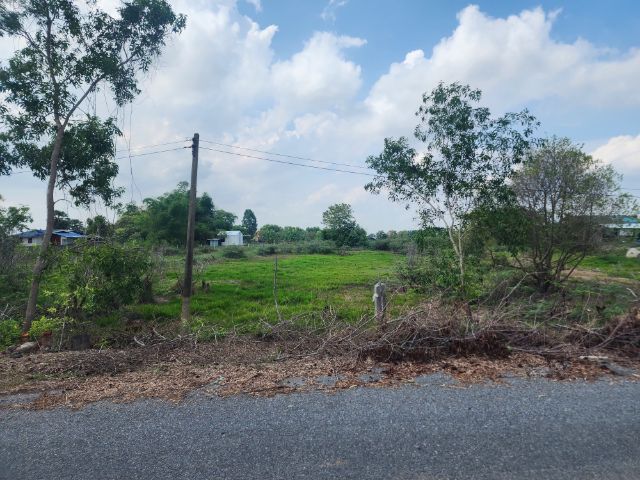 ใช่ ขายที่ดินติดถนนดำ66ตร.วา  องครักษ์ นครนายก มีเพื่อนบ้าน น้ำไฟผ่าน