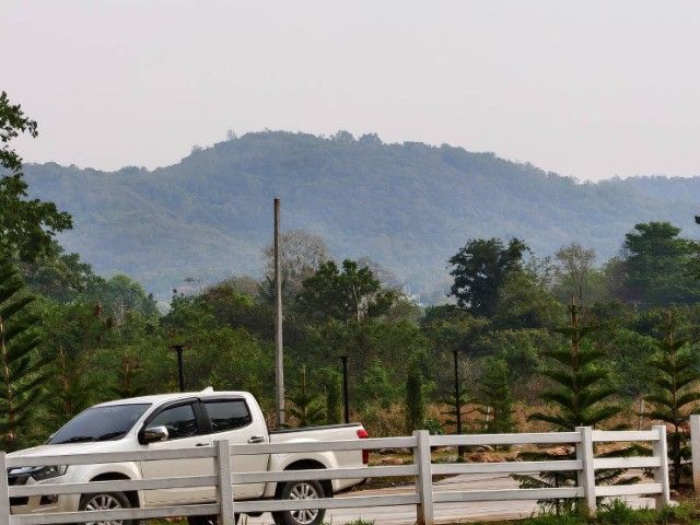 ขายที่ดินวิวเขาปากช่อง หนองสาหร่าย🌲⛰️