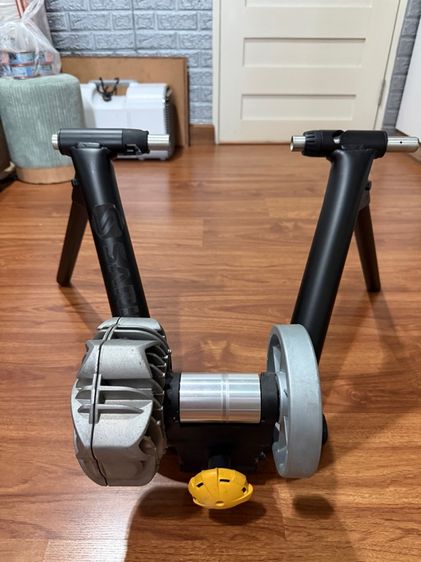 Saris Bike Trainer