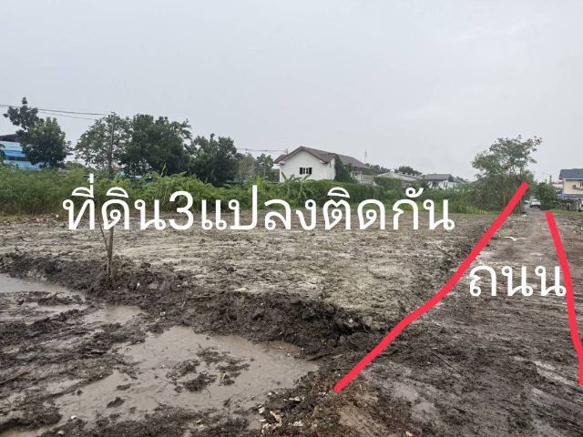 ใช่ ให้เช่าที่ดินถมแล้ว3 แปลงติดกัน รวมประมาณ300 ตร.วา แปลงละ 1งาน รูปที่ 4