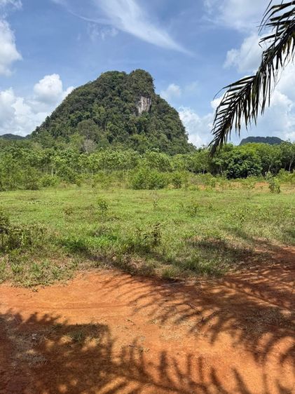 ขายที่ดินวิวภูเขา หนองทะเล กระบี่