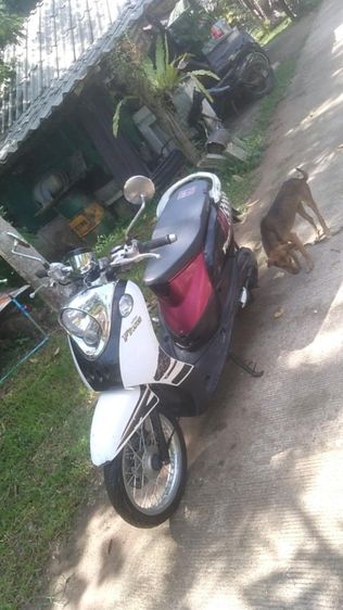Yamaha Fino 2013 ฟีโน่เกแยก ไม่ดังไม่ควัน ถาษีขาดเกิน มีเล่มเขียว