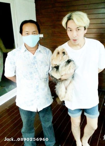 รับจับสุนัขผสมพันธุ์ทุกสายพันธุ์ครับ รูปที่ 2
