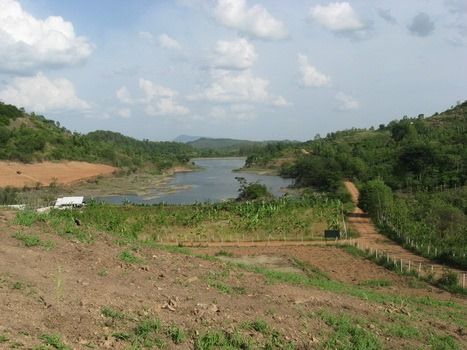 ขายที่ดิน2ไร่ รูปที่ 4