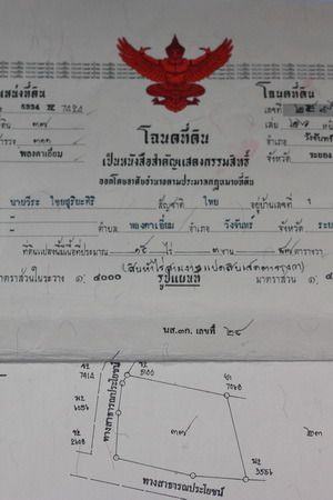 ขายที่ดิน ระยอง อำเภอ วังจันทร์ รูปที่ 2
