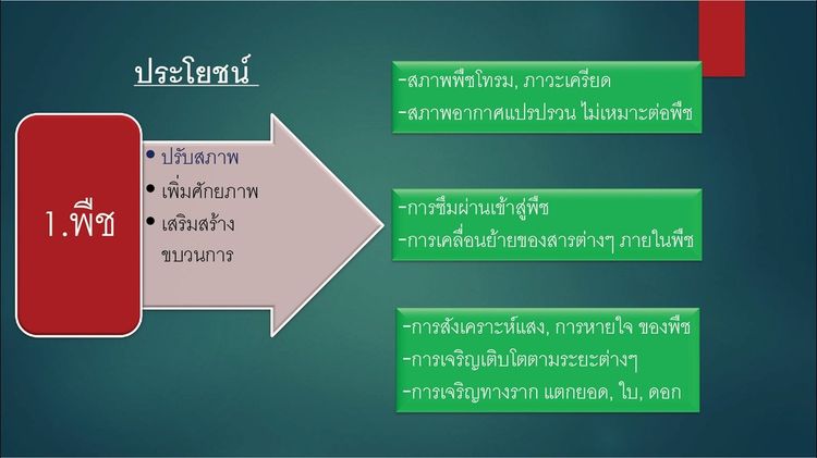 ดินทิพย์ ดีพลัส D-Plus ผลิตภัณฑ์สารปรับปรุงดิน จากสารอินทรีย์ธรรมชาติ มาพร้อมนวัตกรรมวาร์ปและคีเลต รูปที่ 9