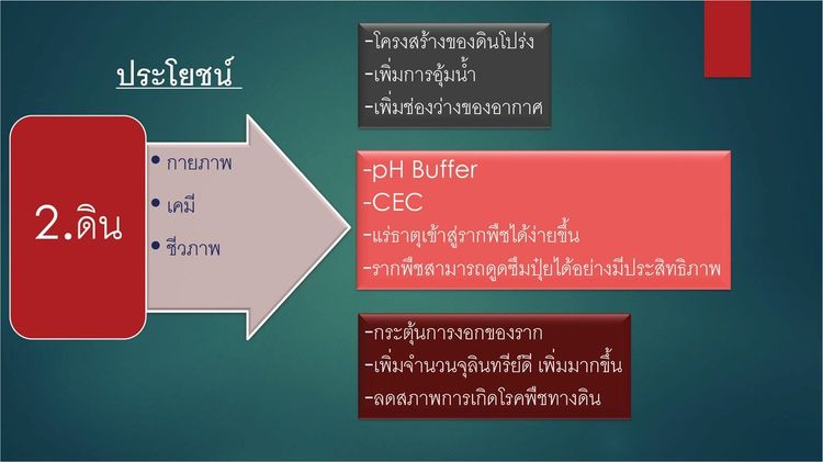 ดินทิพย์ ดีพลัส D-Plus ผลิตภัณฑ์สารปรับปรุงดิน จากสารอินทรีย์ธรรมชาติ มาพร้อมนวัตกรรมวาร์ปและคีเลต รูปที่ 11