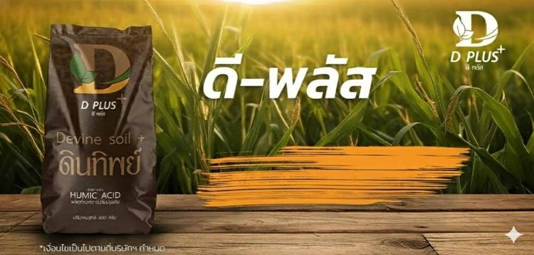ดินทิพย์ ดีพลัส D-Plus ผลิตภัณฑ์สารปรับปรุงดิน จากสารอินทรีย์ธรรมชาติ มาพร้อมนวัตกรรมวาร์ปและคีเลต รูปที่ 3