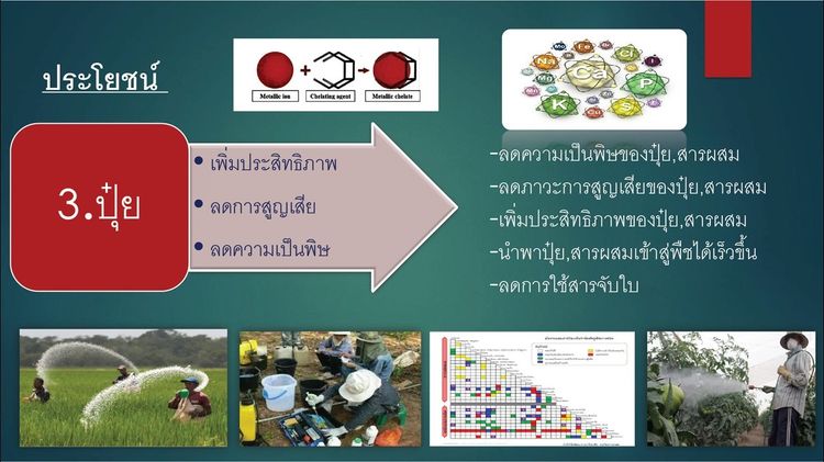 ดินทิพย์ ดีพลัส D-Plus ผลิตภัณฑ์สารปรับปรุงดิน จากสารอินทรีย์ธรรมชาติ มาพร้อมนวัตกรรมวาร์ปและคีเลต รูปที่ 12