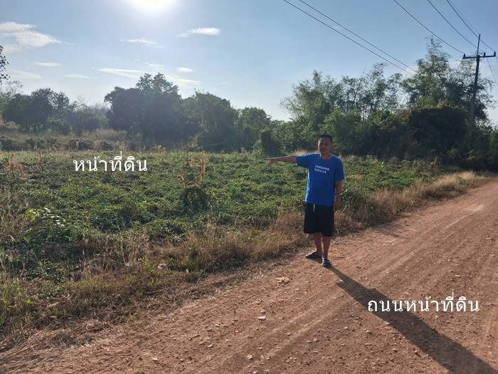 ขายที่ดิน 4-3-86ไร่ ต.กันจุ อ.บึงสามพัน ขายต่ำกว่าประเมิน50กว่าเปอร์เซ็นต์ รูปที่ 4